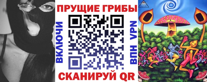 купить наркотик  Кузнецк  Псилоцибиновые грибы мухоморы 